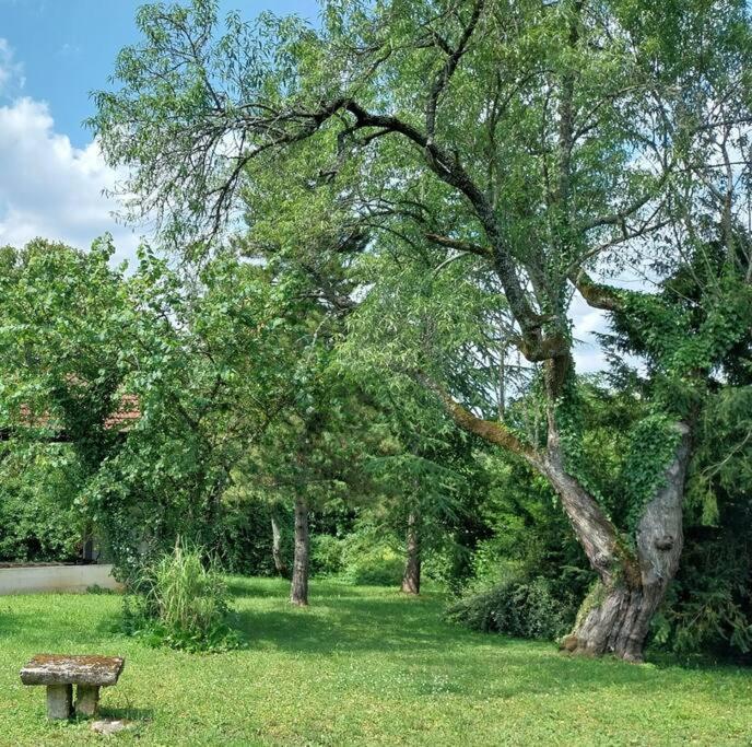 Villa Magical Mellecey Esterno foto